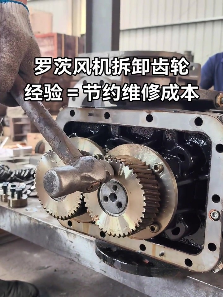 罗茨风机齿轮拆卸经验：怎样操作更省维修成本