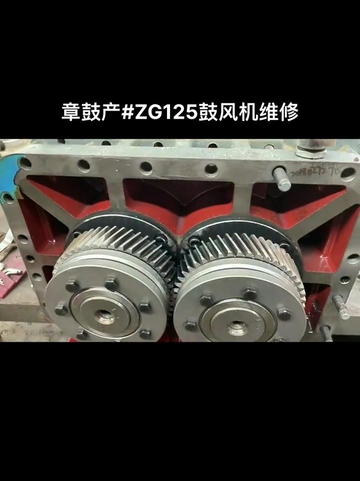章鼓 ZG125 罗茨鼓风机齿轮装配要点：双转子同步啮合怎么落位